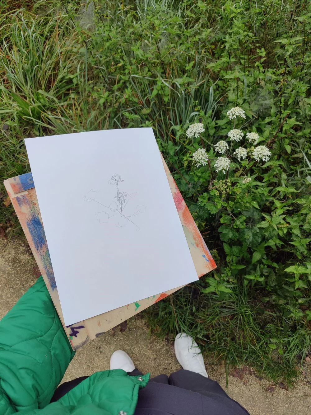 5591Ad98 D748 4D08 Ab3e 1A9a8050e266 Klein